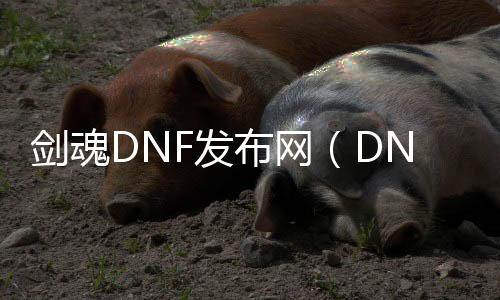 剑魂DNF发布网（DNF发布网剑魂手游官网）