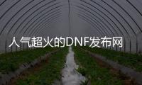 人气超火的DNF发布网