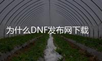 为什么DNF发布网下载完是乱码（dnf下载器为什么会崩溃）