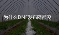 为什么DNF发布网都没有魔枪（dnf魔枪吧）