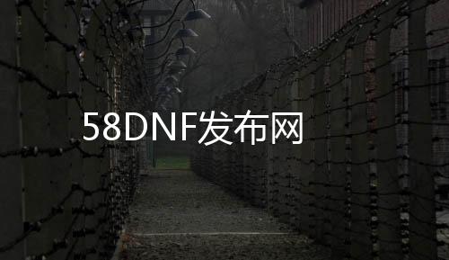 58DNF发布网