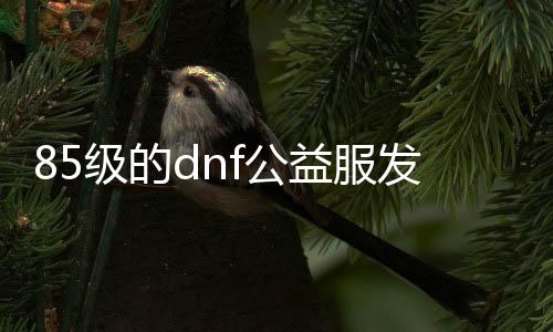 85级的dnf公益服发布网哪个好玩,85级dnf公益服发布网推荐