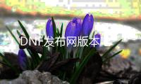 DNF发布网版本吧