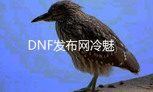 DNF发布网冷魅