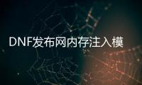 DNF发布网内存注入模块（dnf端游内存）