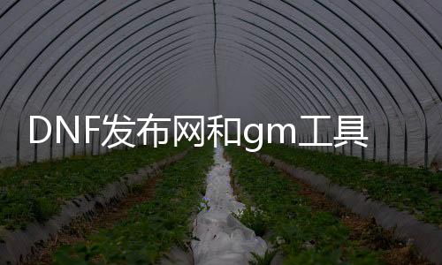 DNF发布网和gm工具