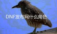 DNF发布网什么角色