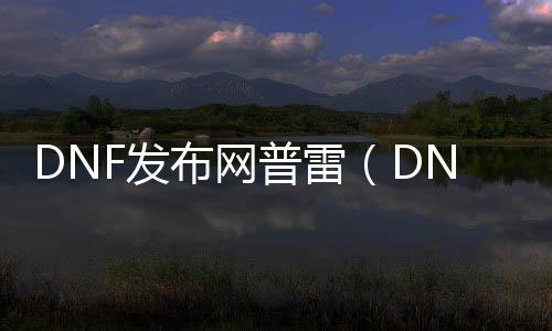 DNF发布网普雷（DNF发布网与勇士普雷装备是什么）