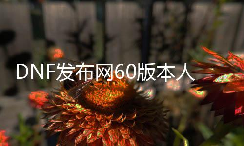 DNF发布网60版本人气最高（DNF发布网官网60版本）