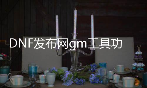 DNF发布网gm工具功能（DNF发布网 gm版）