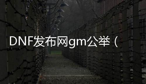 DNF发布网gm公举（DNF发布网官方公众号是什么）