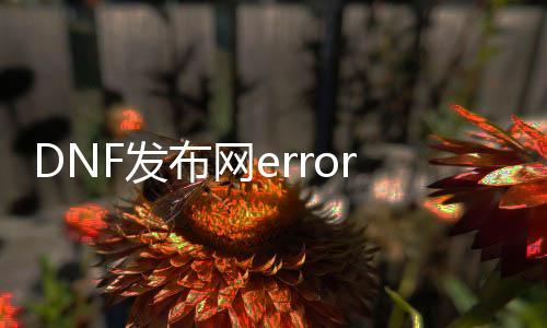 DNF发布网error