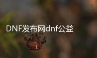 DNF发布网dnf公益服发布网哪个好,DNF发布网dnf公益服发布网下载安装教程