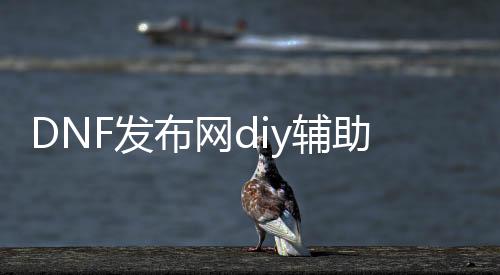 DNF发布网diy辅助（DNF发布网辅助官方网站）