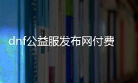 dnf公益服发布网付费辅助（公益服发布网付费辅助使用方法详解）