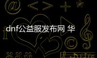 dnf公益服发布网 华子（dnf公益服发布网怎么赚钱）