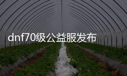 dnf70级公益服发布网最新版辅助（dnf70版本最强辅助装备）