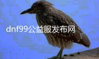 dnf99公益服发布网（免费玩转DNF99公益服发布网攻略）