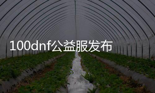 100dnf公益服发布网（100dnf公益服发布网最新发布信息）