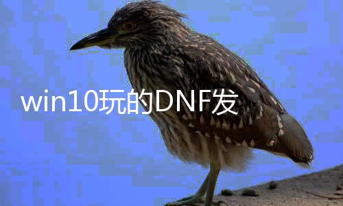 win10玩的DNF发布网